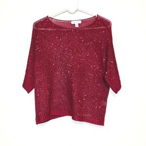 Dress Barn Woman’s Sweater Size S